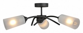 Люстра на штанге Vitaluce V2850 V2850-1/3PL в Александровском - alexsandrovskoe.ok-mebel.com | фото 3