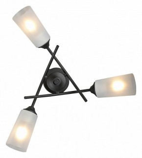 Люстра на штанге Vitaluce V2850 V2850-1/3PL в Александровском - alexsandrovskoe.ok-mebel.com | фото 4