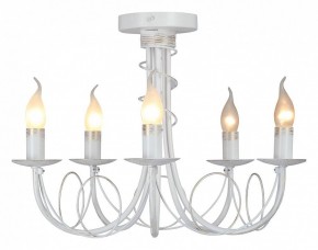 Люстра на штанге Vitaluce V3035 V3035-0/5PL в Александровском - alexsandrovskoe.ok-mebel.com | фото 2