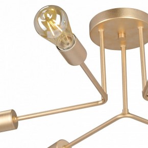 Люстра на штанге Vitaluce V3071 V3071-8/6PL в Александровском - alexsandrovskoe.ok-mebel.com | фото 6