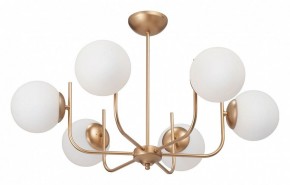 Люстра на штанге Vitaluce V39570 V39570-8/6PL в Александровском - alexsandrovskoe.ok-mebel.com | фото 2