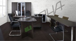 Мебель для руководителя Статус в Александровском - alexsandrovskoe.ok-mebel.com | фото 1