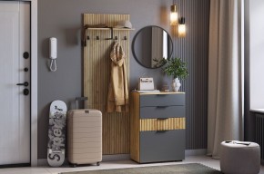 МЕБЕЛЬСОН К3 Прихожая (графит) в Александровском - alexsandrovskoe.ok-mebel.com | фото