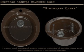 Мойка кухонная MS-1 (D470) в Александровском - alexsandrovskoe.ok-mebel.com | фото 11