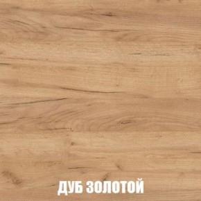 МСП-1 Шкаф 2-х створчатый (Дуб Золотой/Камень темный) в Александровском - alexsandrovskoe.ok-mebel.com | фото 4