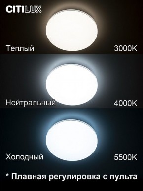 Накладной светильник Citilux Симпла CL714330G в Александровском - alexsandrovskoe.ok-mebel.com | фото 4
