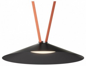 Накладной светильник Denkirs Belty Flow DK5569-BK в Александровском - alexsandrovskoe.ok-mebel.com | фото 2