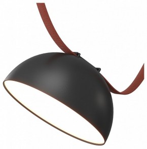 Накладной светильник Denkirs Belty Flow DK5660-BK в Александровском - alexsandrovskoe.ok-mebel.com | фото