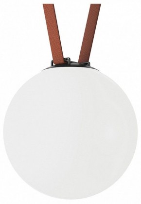Накладной светильник Denkirs Belty Orb DK5554-BK в Александровском - alexsandrovskoe.ok-mebel.com | фото