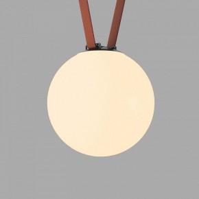 Накладной светильник Denkirs Belty Orb DK5555-BK в Александровском - alexsandrovskoe.ok-mebel.com | фото 2