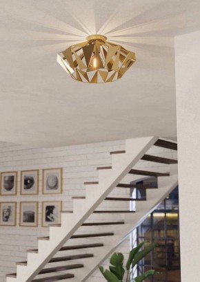 Накладной светильник Eglo Carlton 43908 в Александровском - alexsandrovskoe.ok-mebel.com | фото 3