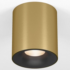 Накладной светильник Elektrostandard Primo 25116/LED в Александровском - alexsandrovskoe.ok-mebel.com | фото