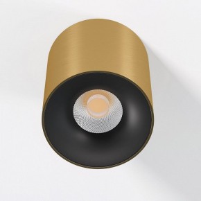 Накладной светильник Elektrostandard Primo 25116/LED в Александровском - alexsandrovskoe.ok-mebel.com | фото