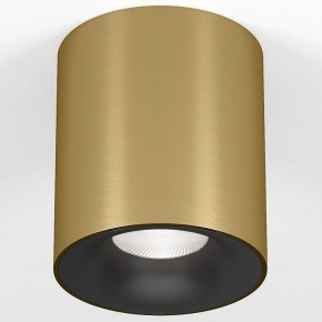 Накладной светильник Elektrostandard Primo 25116/LED в Александровском - alexsandrovskoe.ok-mebel.com | фото 2