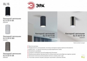 Накладной светильник Эра OL15 GU10 WH Б0049041 в Александровском - alexsandrovskoe.ok-mebel.com | фото 5