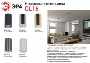 Накладной светильник Эра OL16 GU10 BK Б0049042 в Александровском - alexsandrovskoe.ok-mebel.com | фото 3