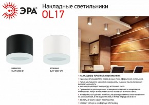 Накладной светильник Эра OL17 GX53 BK Б0049028 в Александровском - alexsandrovskoe.ok-mebel.com | фото 3