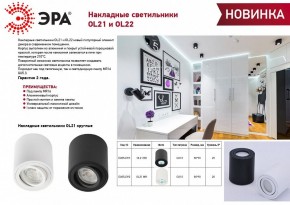 Накладной светильник Эра OL22 WH Б0054394 в Александровском - alexsandrovskoe.ok-mebel.com | фото 3