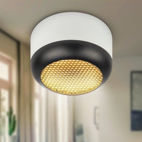 Накладной светильник Эра  OL56 WH/BK в Александровском - alexsandrovskoe.ok-mebel.com | фото 8