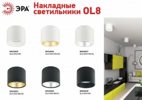 Накладной светильник Эра OL8 GX53 BK/GD Б0048539 в Александровском - alexsandrovskoe.ok-mebel.com | фото 3