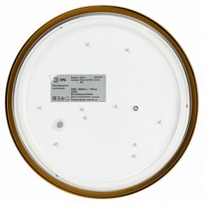 Накладной светильник Эра Relict Relict 22 SPB-6-20 4К MG в Александровском - alexsandrovskoe.ok-mebel.com | фото 4