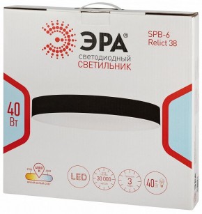 Накладной светильник Эра Relict Relict 38 SPB-6-40 4К BK в Александровском - alexsandrovskoe.ok-mebel.com | фото 6