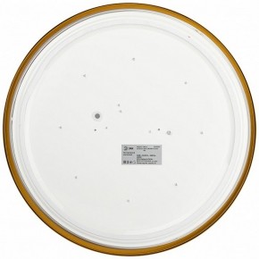 Накладной светильник Эра Relict Relict 38 SPB-6-40 4К MG в Александровском - alexsandrovskoe.ok-mebel.com | фото 3