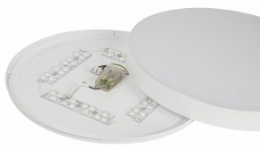 Накладной светильник Эра Relict Relict 48 Pult SPB-6-60-RC WH в Александровском - alexsandrovskoe.ok-mebel.com | фото 11