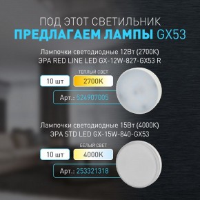 Накладной светильник Эра WL40 BK Б0054414 в Александровском - alexsandrovskoe.ok-mebel.com | фото 4