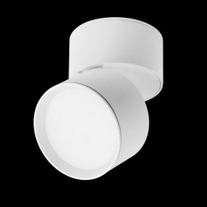 Накладной светильник Lightstar Acuto 215836 в Александровском - alexsandrovskoe.ok-mebel.com | фото 3