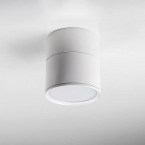 Накладной светильник Lightstar Acuto 215886 в Александровском - alexsandrovskoe.ok-mebel.com | фото 3