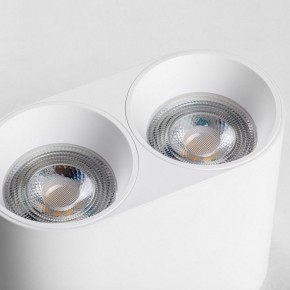 Накладной светильник Lightstar Rullo 213466 в Александровском - alexsandrovskoe.ok-mebel.com | фото 6