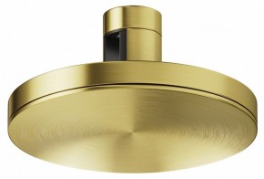 Накладной светильник Maytoni Plato TR152-1-7W4K-BS в Александровском - alexsandrovskoe.ok-mebel.com | фото