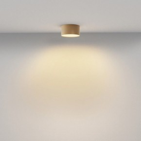 Накладной светильник Maytoni Zon C032CL-12W2.7K-RD-MG в Александровском - alexsandrovskoe.ok-mebel.com | фото 4