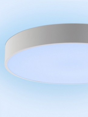 Накладной светильник Natali Kovaltseva MODERN LED LAMPS 81105/1C в Александровском - alexsandrovskoe.ok-mebel.com | фото 11