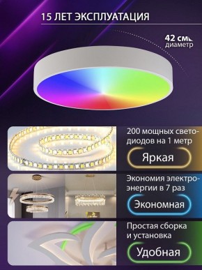 Накладной светильник Natali Kovaltseva MODERN LED LAMPS 81105/1C в Александровском - alexsandrovskoe.ok-mebel.com | фото 6