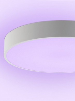 Накладной светильник Natali Kovaltseva MODERN LED LAMPS 81105/1C в Александровском - alexsandrovskoe.ok-mebel.com | фото 9