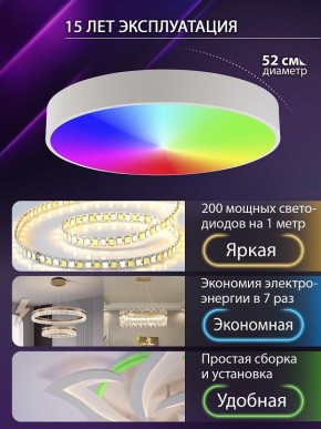 Накладной светильник Natali Kovaltseva MODERN LED LAMPS 81105/2C в Александровском - alexsandrovskoe.ok-mebel.com | фото 6