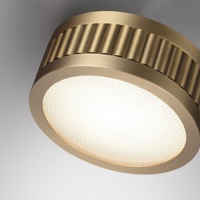 Накладной светильник Odeon Light Manchester 7013/7CL в Александровском - alexsandrovskoe.ok-mebel.com | фото 5