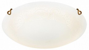 Накладной светильник Sonex Ammonite 7602/DL в Александровском - alexsandrovskoe.ok-mebel.com | фото 3