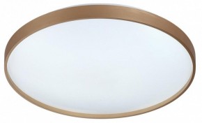 Накладной светильник Sonex Gaby 7783/EL в Александровском - alexsandrovskoe.ok-mebel.com | фото 4