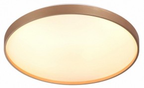 Накладной светильник Sonex Gaby 7783/EL в Александровском - alexsandrovskoe.ok-mebel.com | фото 5