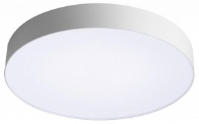 Накладной светильник Sonex Optima 7779/EL в Александровском - alexsandrovskoe.ok-mebel.com | фото 4