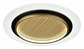 Накладной светильник Sonex Sunny 7731/80L в Александровском - alexsandrovskoe.ok-mebel.com | фото