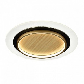 Накладной светильник Sonex Sunny 7731/80L в Александровском - alexsandrovskoe.ok-mebel.com | фото 4