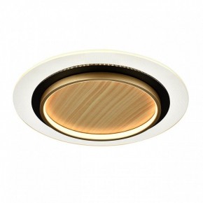 Накладной светильник Sonex Sunny 7731/80L в Александровском - alexsandrovskoe.ok-mebel.com | фото 6