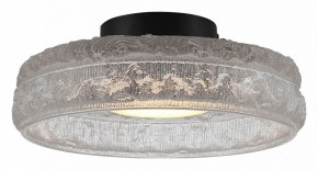 Накладной светильник ST-Luce ANTIKE SL6143.402.01 в Александровском - alexsandrovskoe.ok-mebel.com | фото 2