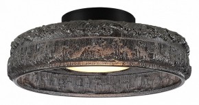 Накладной светильник ST-Luce ANTIKE SL6143.412.01 в Александровском - alexsandrovskoe.ok-mebel.com | фото 2