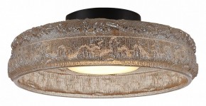 Накладной светильник ST-Luce ANTIKE SL6143.422.01 в Александровском - alexsandrovskoe.ok-mebel.com | фото 3