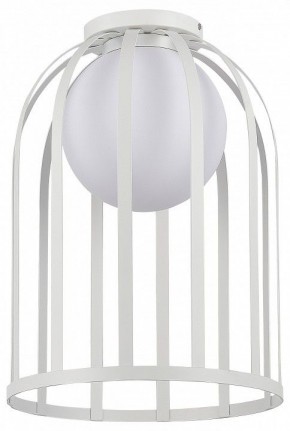 Накладной светильник ST-Luce Nordic SL6129.502.01 в Александровском - alexsandrovskoe.ok-mebel.com | фото